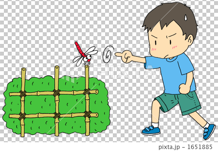 トンボ捕り 1651885