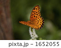 1652055