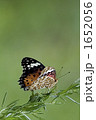 1652056