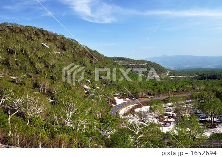 新緑のニセコパノラマライン 1652694