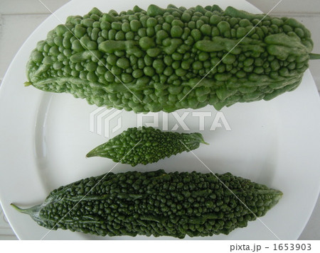 巨大・並・極小 1653903