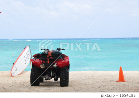 ハワイの休日 1654188