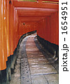 伏見稲荷神社 1654951