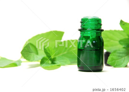 ミントオイル 1656402