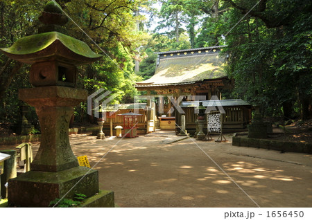 パワースポット鹿島神宮奥宮 パワースポット鹿島神宮奥宮 1656450