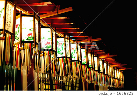 四天王寺の万灯供養法要 四天王寺の万灯供養法要 1656825