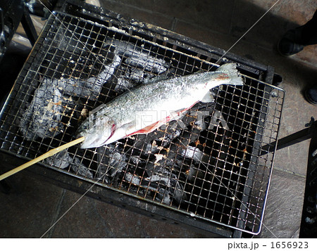 アマゴの塩焼き 特大サイズ の写真素材