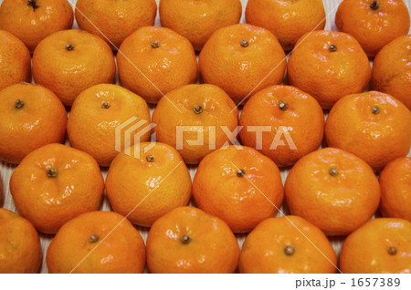 タンカン 1657389