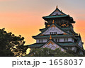 夕方の大阪城 1658037