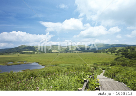 長野　八島湿原 1658212