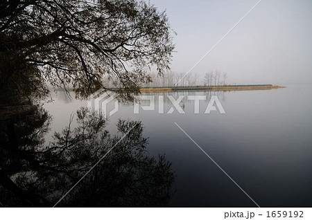 朝靄に包まれた水墨画のような水辺の景色 1659192