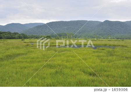 尾瀬の原野 1659306