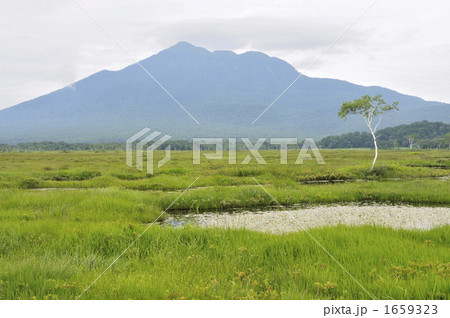 尾瀬の湿原と燧ヶ岳 1659323