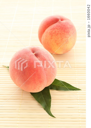 桃01 1660042