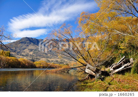 クイーンズタウンの秋 クイーンズタウンの秋 1660265