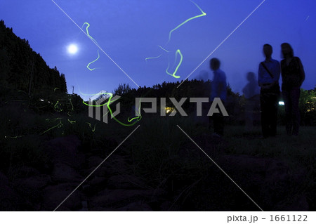 月夜の蛍の写真素材