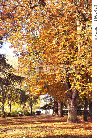 ヴィエルゾンの公園 1662428