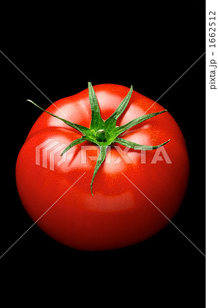 トマト 1662512