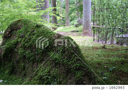 宮城　松島にある瑞巌寺の庭先 1662965