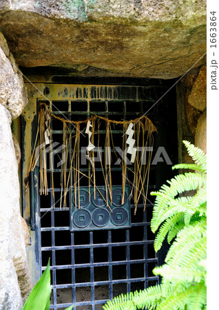 真田の抜け穴 真田の抜け穴 1663864