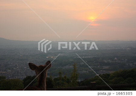 若草山の夕暮れ 1665305