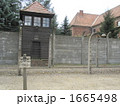 アウシュビッツ強制収容所 1665498