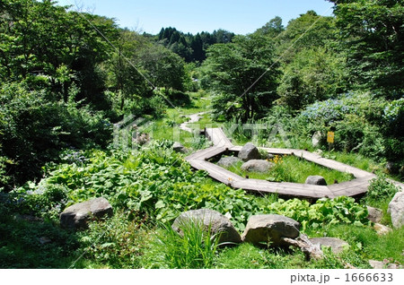 六甲高山植物園の回廊 1666633