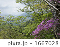 1667028