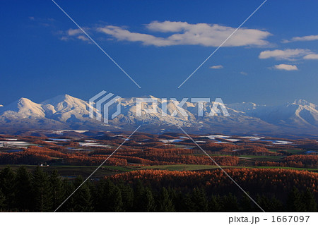 黄葉唐松と十勝岳 01 1667097