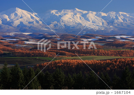 黄葉唐松と十勝岳 02 1667104