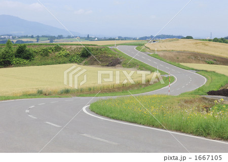 丘の上の道 1667105