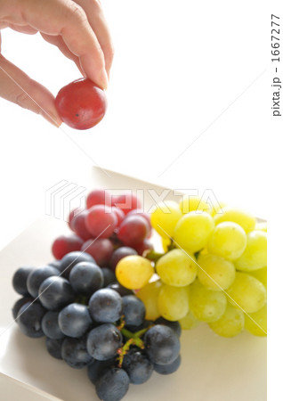 ブドウ一粒　 1667277