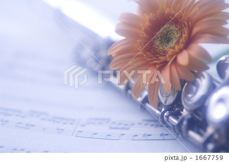 フルート 1667759