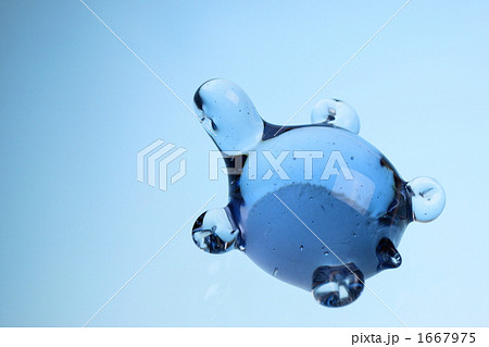 カメ カメ 1667975