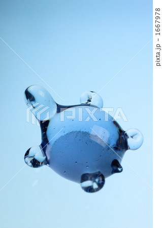 カメ カメ 1667978