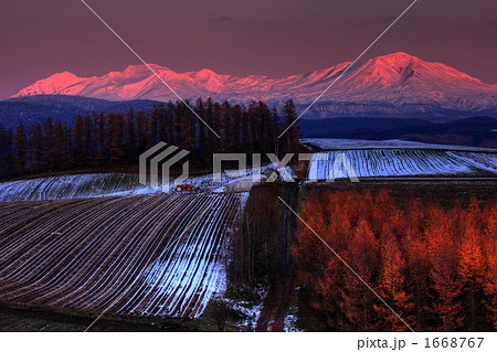 就実の丘 夕日に染まる大雪山  1668767