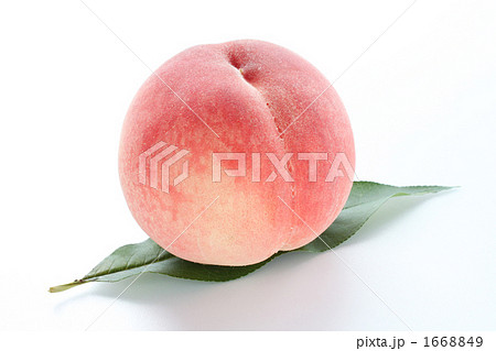 桃白バック04 桃白バック04 1668849