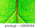 1669088