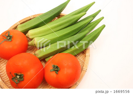 トマトとオクラ 1669556