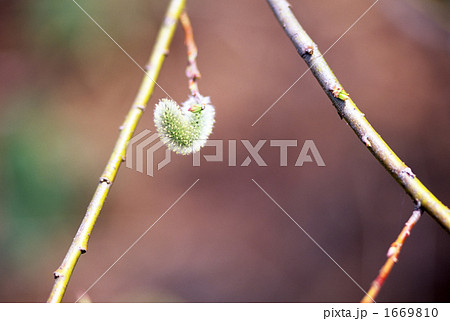 春のブランコⅡ 1669810