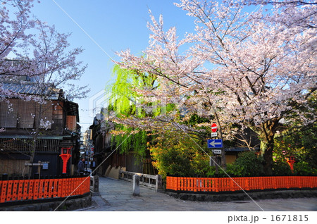 祇園巽橋の桜 1671815
