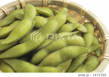 枝豆 1672269
