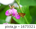 1673321