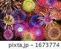 夜空いっぱいの花火 1673774