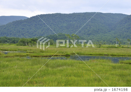 尾瀬の原野 尾瀬の原野 1674198