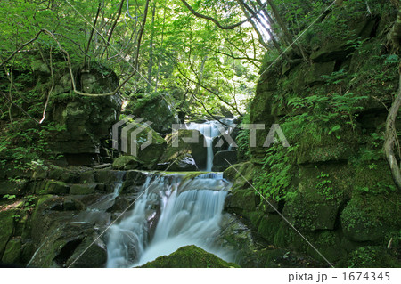 奥入瀬渓流 1674345