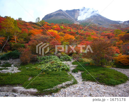 那須火山の紅葉　絶景 1675178