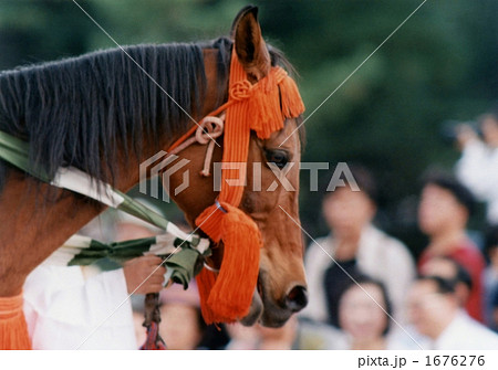 時代祭:馬の顔 時代祭:馬の顔 1676276