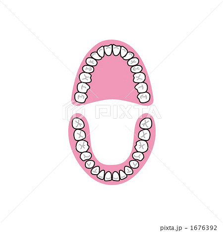 歯のイラストのイラスト素材