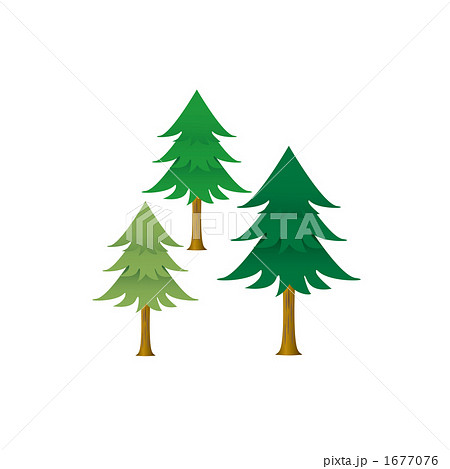 杉の木のイラストのイラスト素材
